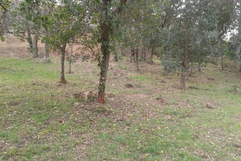 Terra a Calonge, Gerona, Calonge - € 69.000 | Ref: 2031 - foto 3